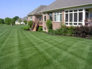 Freshly mowed lawn with clean mower striping