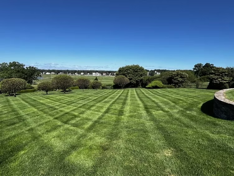 Wide view of a professionally maintained lawn