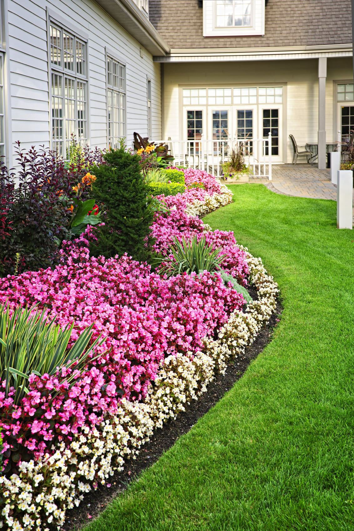 Colorful flower bed border along a walkway